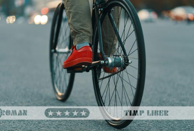 Biciclete pentru adulți și copii – ghidul complet pentru plimbări în aer liber