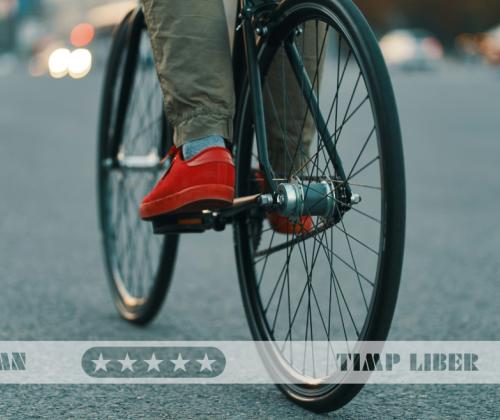 Biciclete pentru adulți și copii – ghidul complet pentru plimbări în aer liber