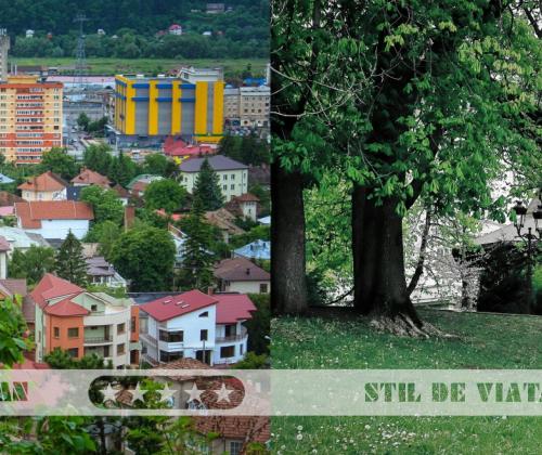 Oraș sau sat? Cum să alegi stilul de viață potrivit