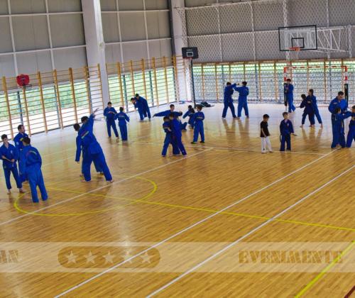 Stagiu Regional cu teme noi și Examinare de Grad la Clubul Sportiv YANG Ploiești